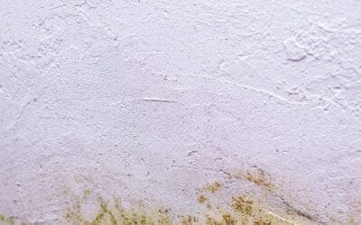 pared con humedad Tubería de Drenaje Rota en la Pared: Cómo Detectarla y Solucionarla Antes de que Sea Tarde