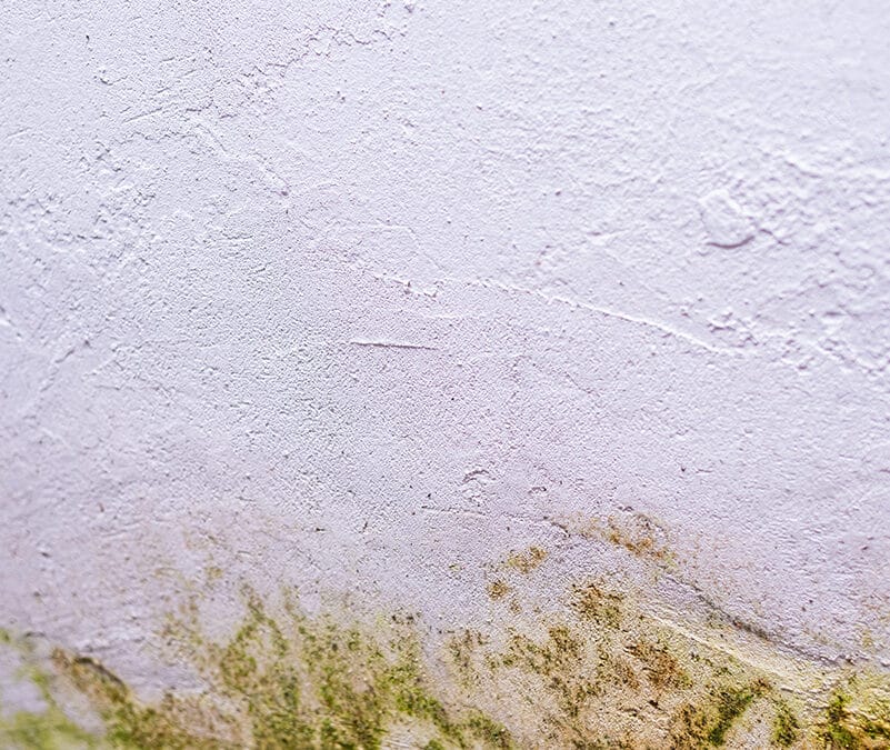 Tubería de Drenaje Rota en la Pared: Cómo Detectarla y Solucionarla Antes de que Sea Tarde